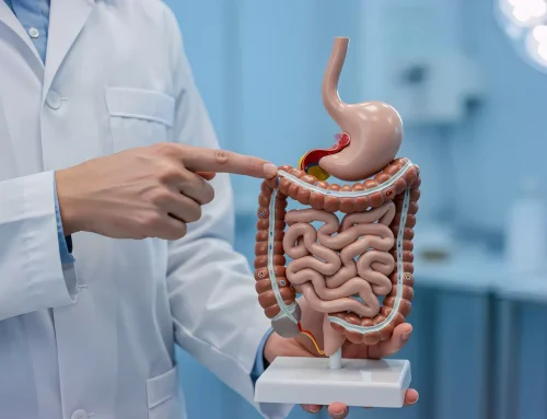 Exploring the Specialized Digestive Care Services Offered by Gastroenterology of Gainesville